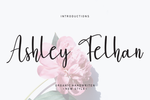 Ashley Felhan: A Designer’s Practical Review