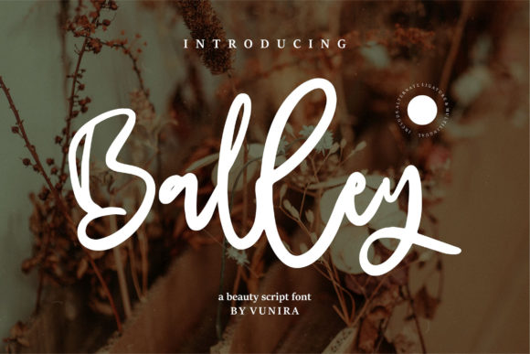 Balley: A Designer’s Honest Review for Real Projects