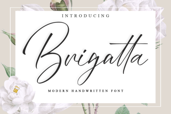 Brigatta Font Review for Campaign Design