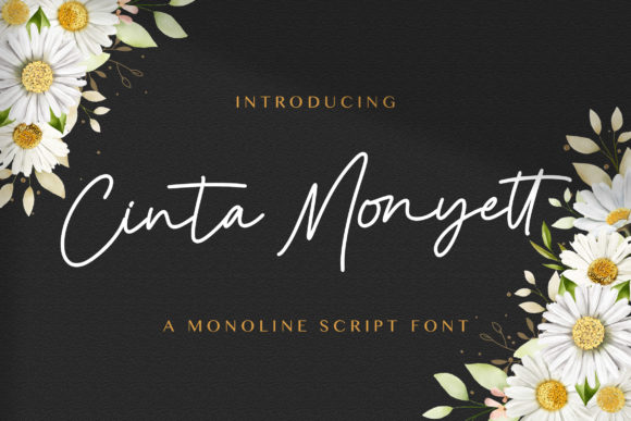Cinta Monyett: A Playful Script Font for Branding