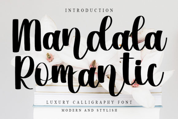 Mandala Romantic: A Delicate Script Font for Makers